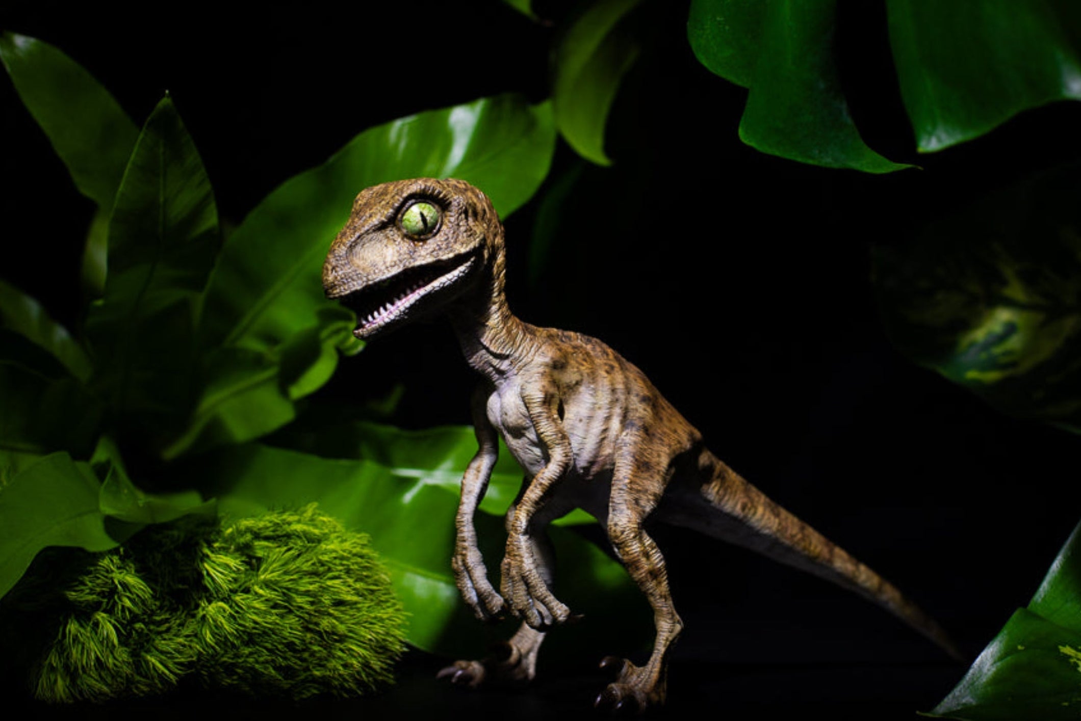 Prehistoric Collectible Figures