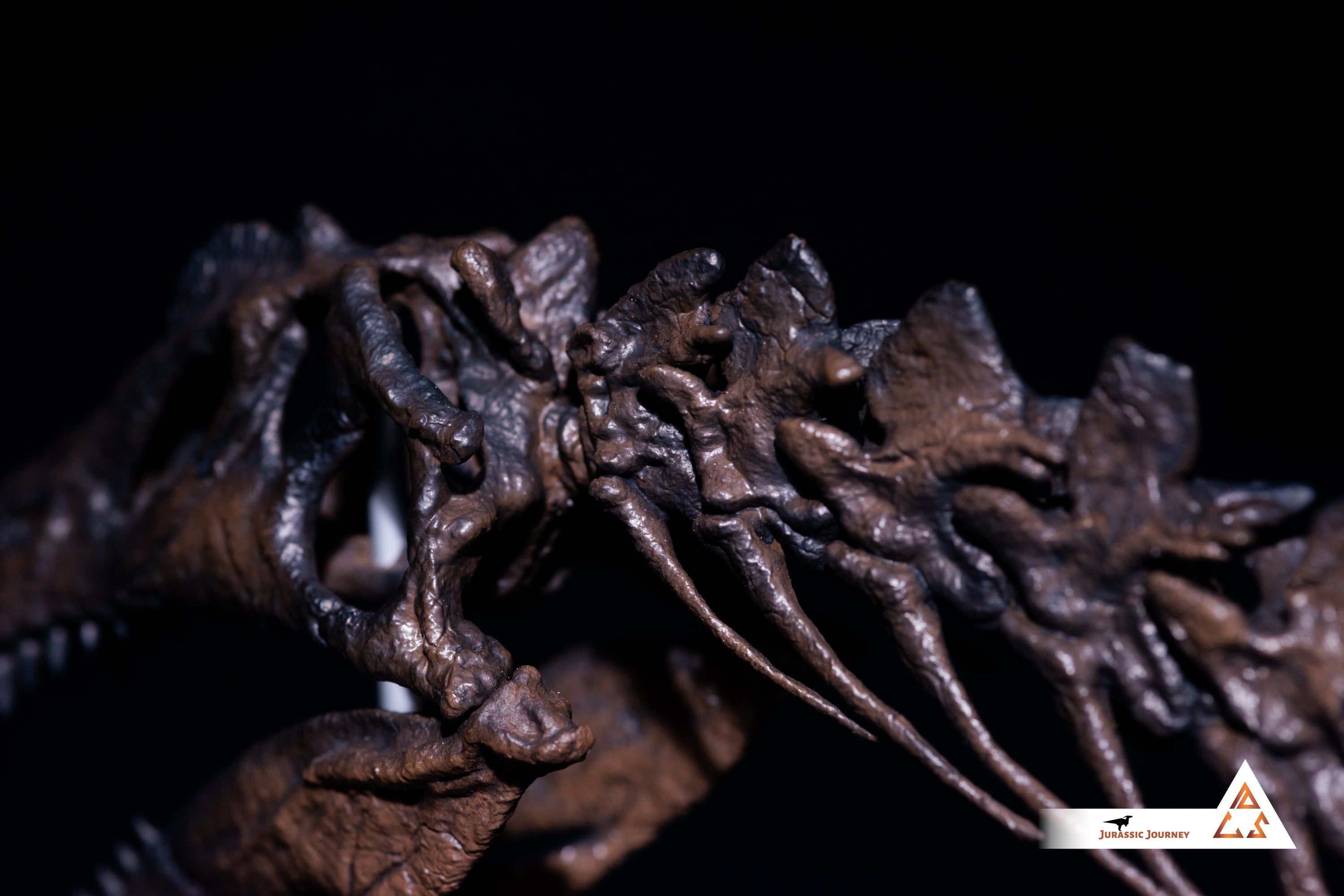 Spinosaurus skull with spine segment| 1:10 scale resin model with acrylic base