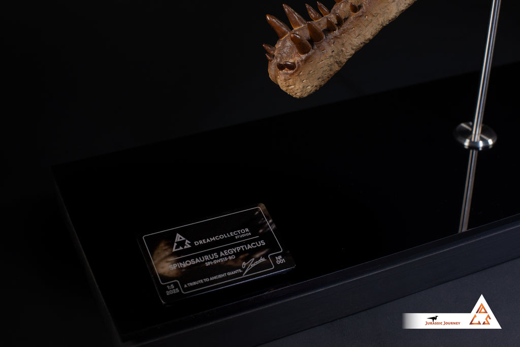 Spinosaurus skull with Spine Segment | 1:5 scale resin replica with wooden / acrylic base