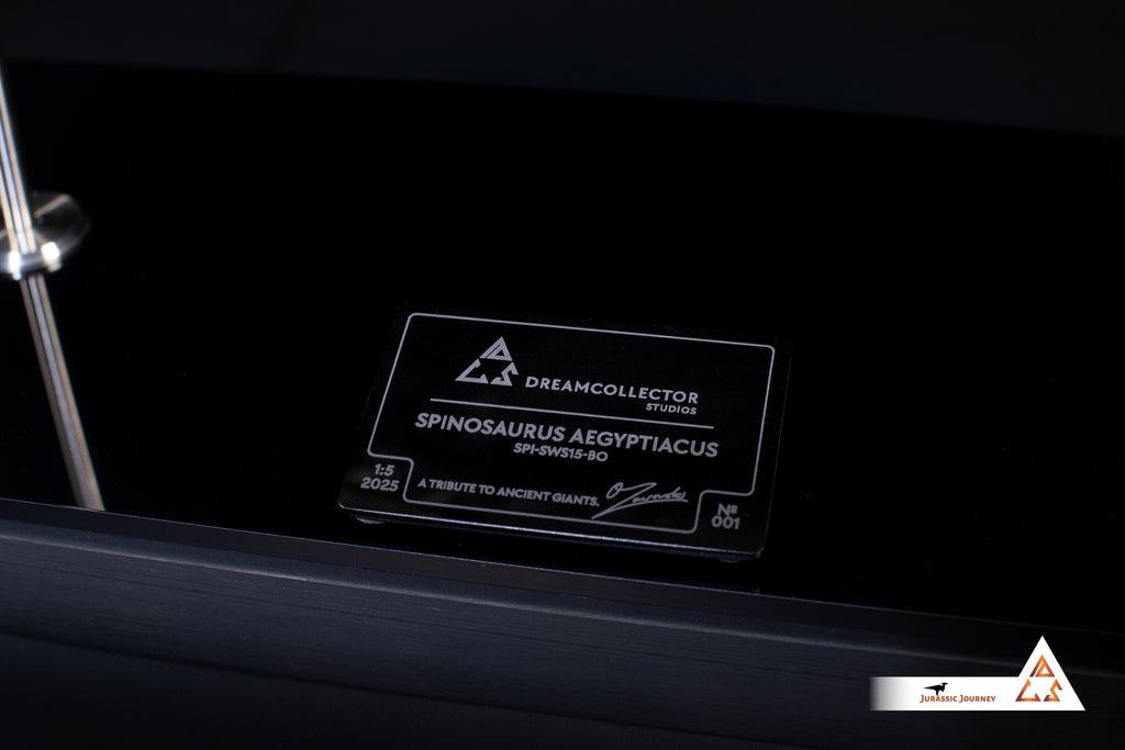 Spinosaurus skull with Spine Segment | 1:5 scale resin replica with wooden / acrylic base