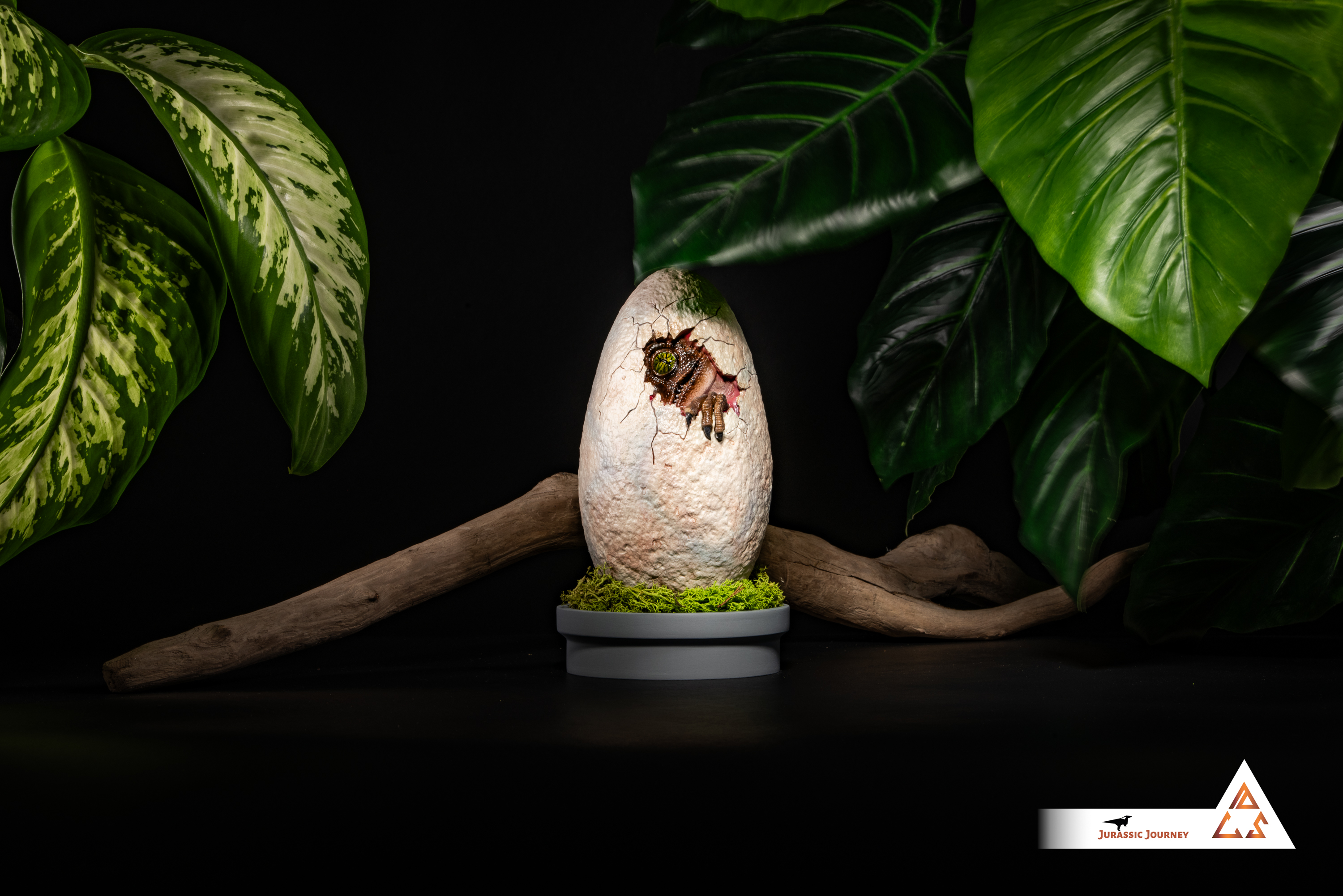 Velociraptor in Egg | Breach Edition | 1:1 scale collectible item
