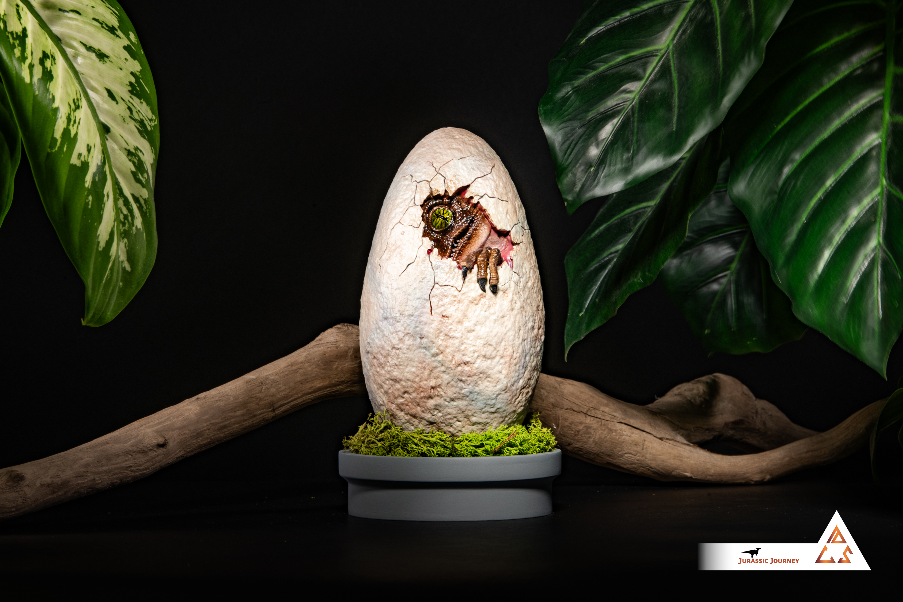 Velociraptor in Egg | Breach Edition | 1:1 scale collectible item