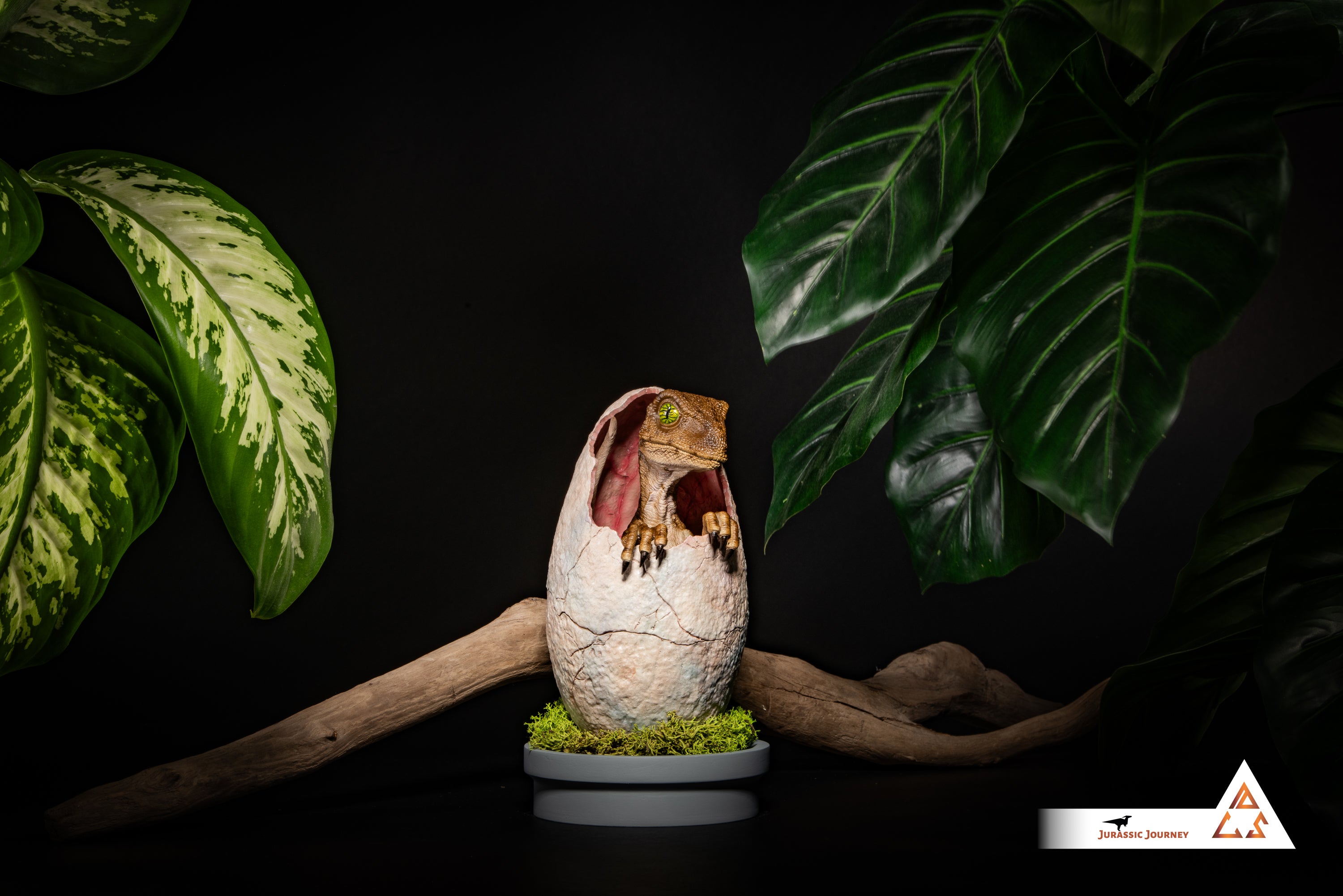 Hatching Velociraptor Baby | Hunter Edition | 1:1 scale collectible figure