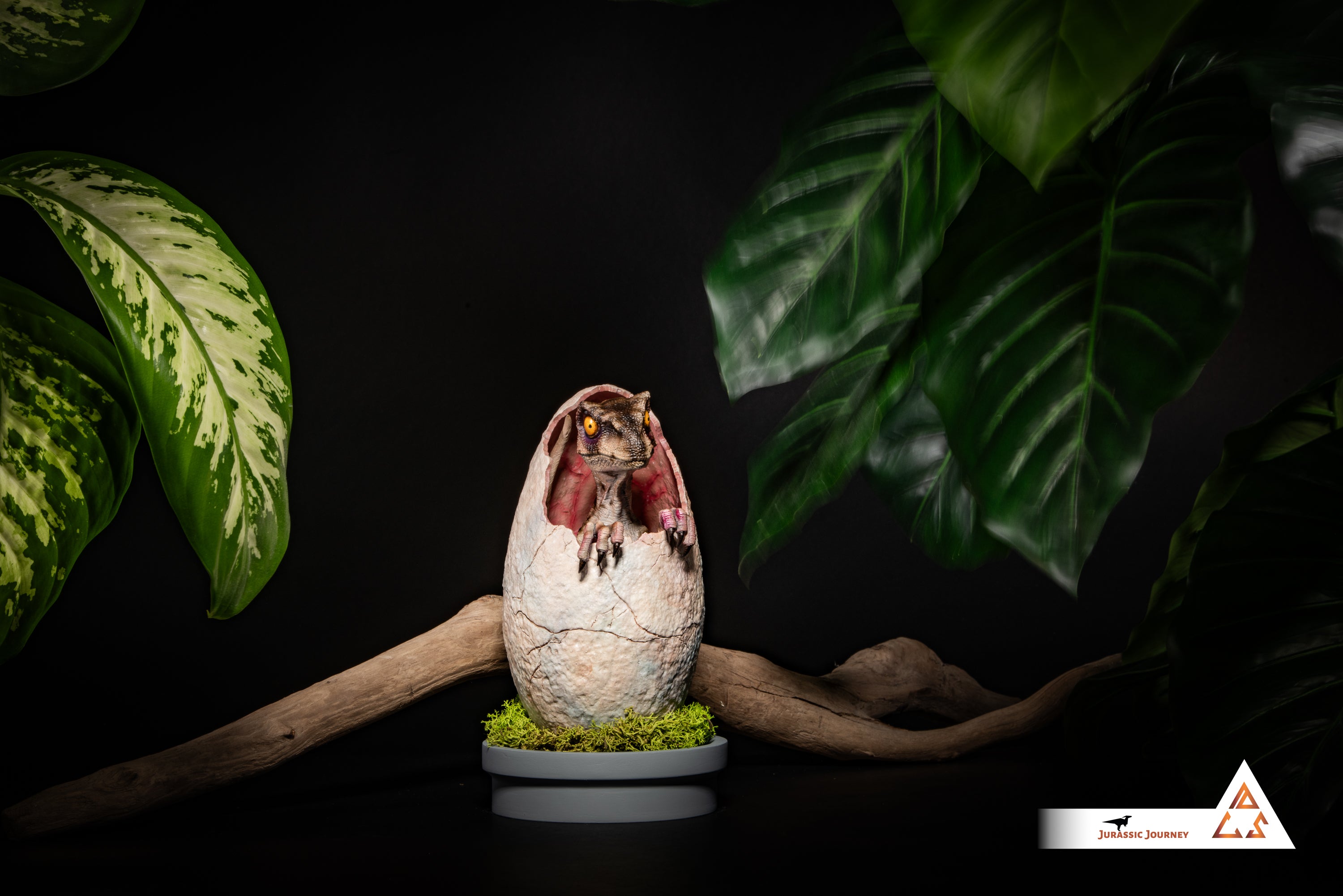 Hatching Velociraptor Baby | White Queen Edition | 1:1 scale collectible figure