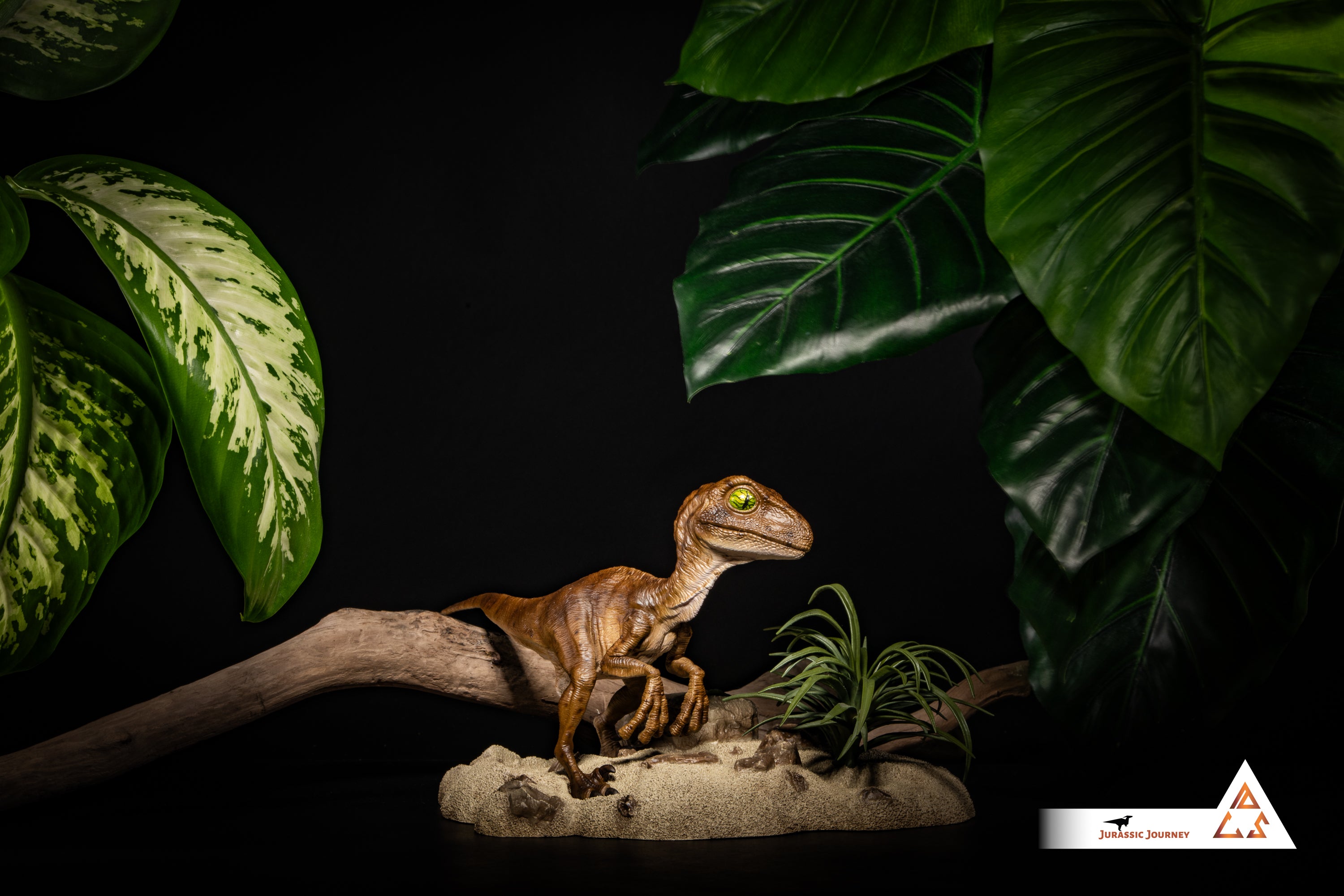 Velociraptor Baby with Sand Base | Hunter Edition | 1:1 scale collectible figure