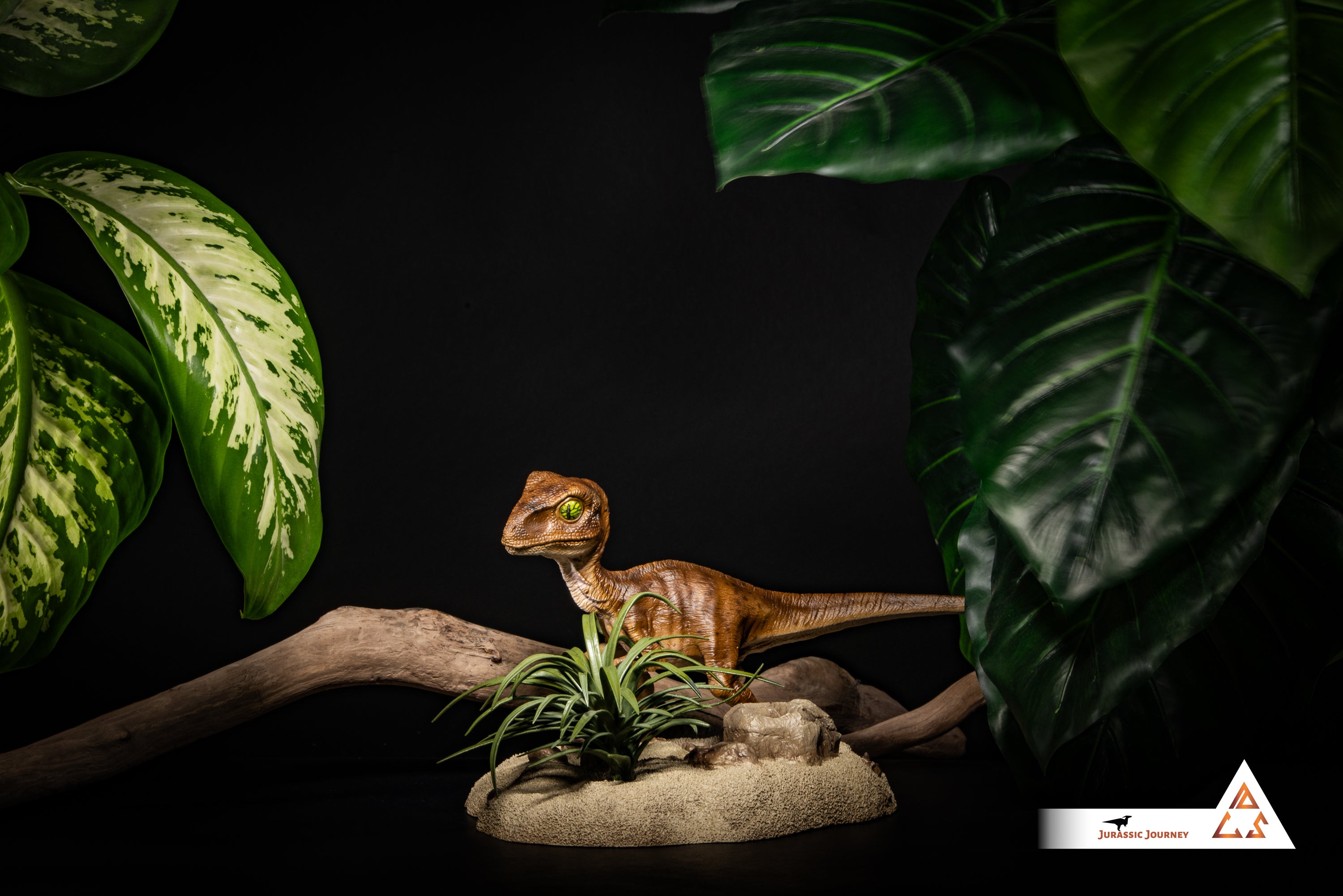 Velociraptor Baby with Sand Base | Hunter Edition | 1:1 scale collectible figure