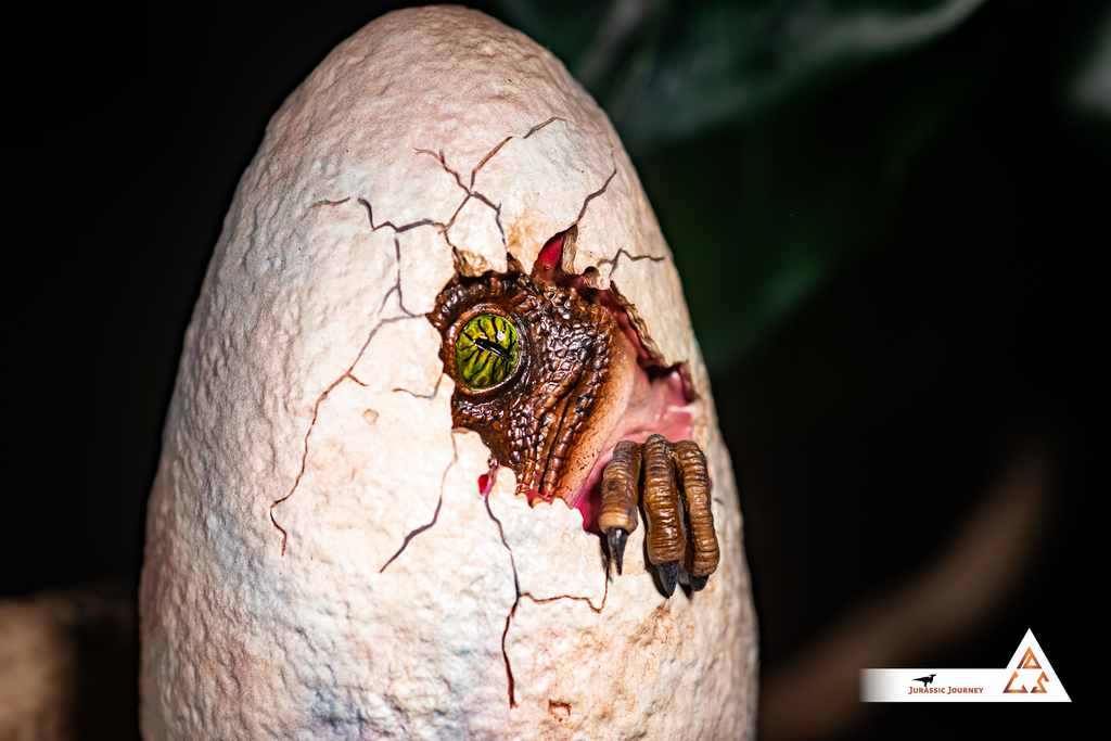 Velociraptor in Egg | Breach Edition | 1:1 scale collectible item