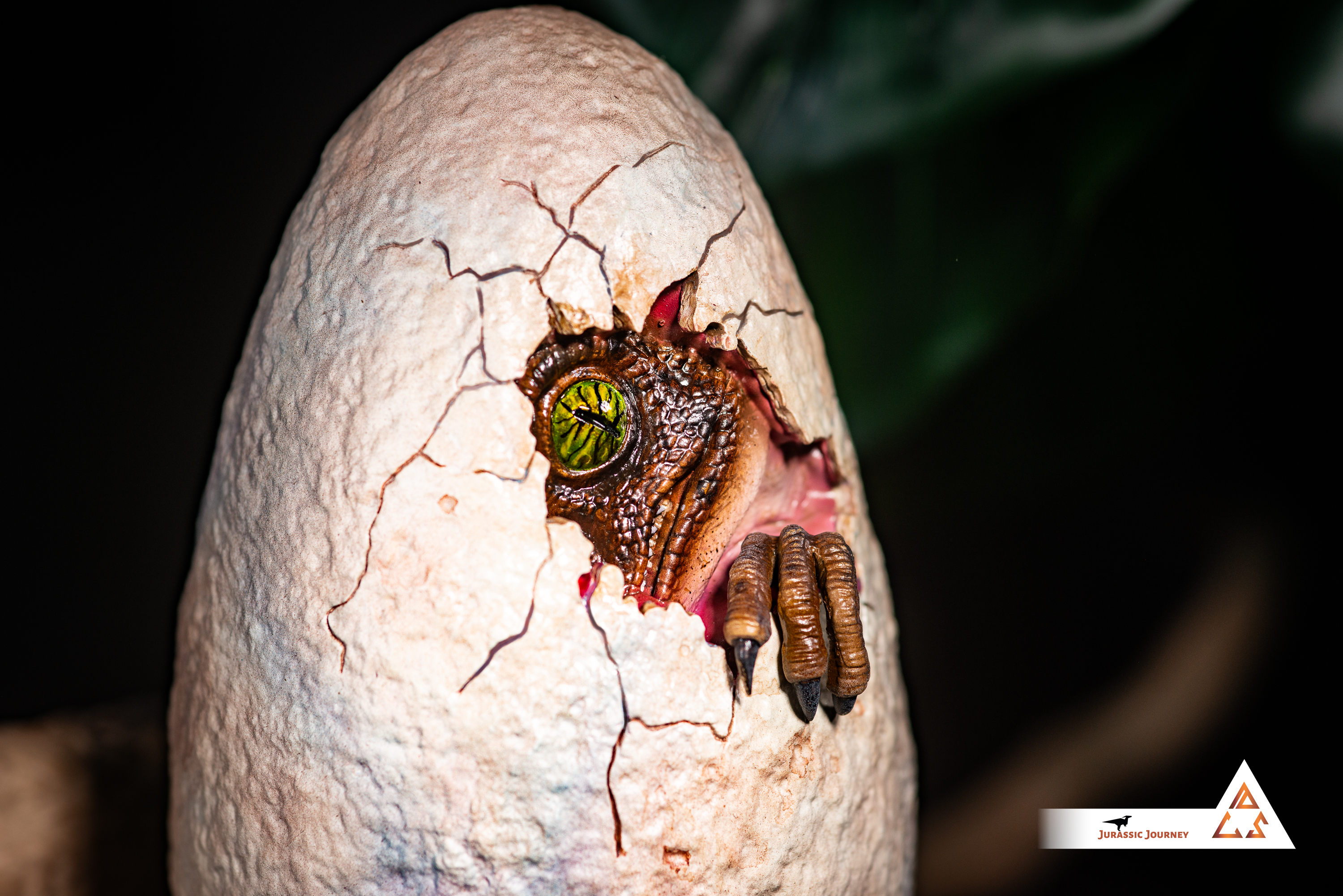 Velociraptor in Egg | Breach Edition | 1:1 scale collectible item