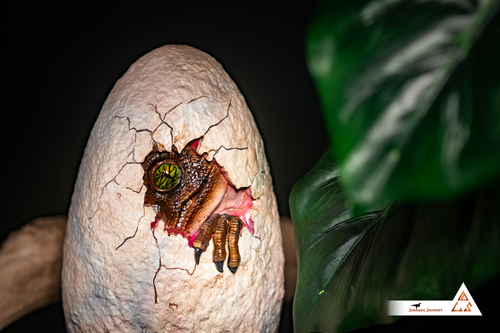 Velociraptor in Egg | Breach Edition | 1:1 scale collectible item
