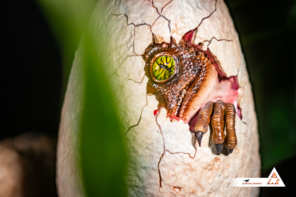 Velociraptor in Egg | Breach Edition | 1:1 scale collectible item