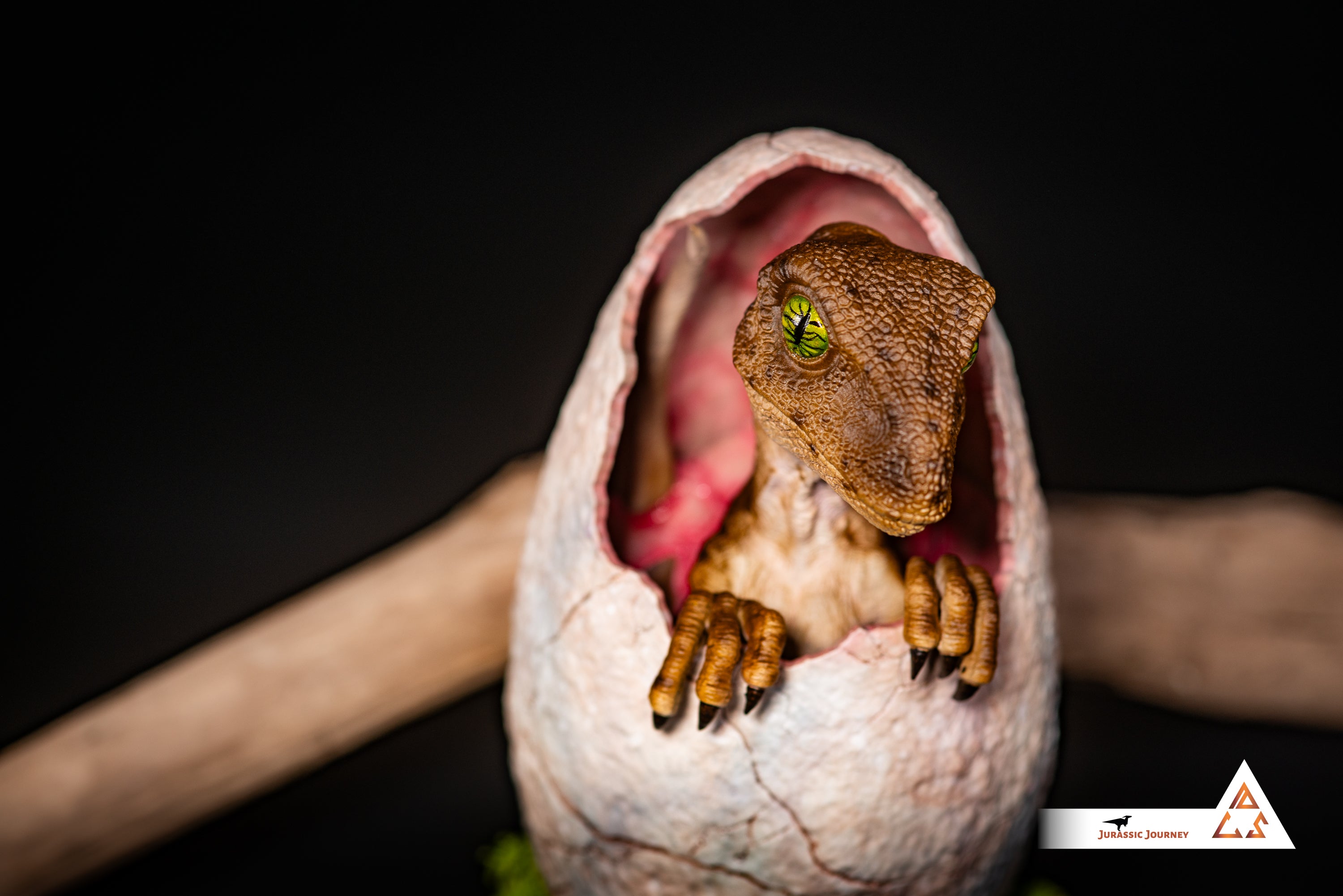 Hatching Velociraptor Baby | Hunter Edition | 1:1 scale collectible figure