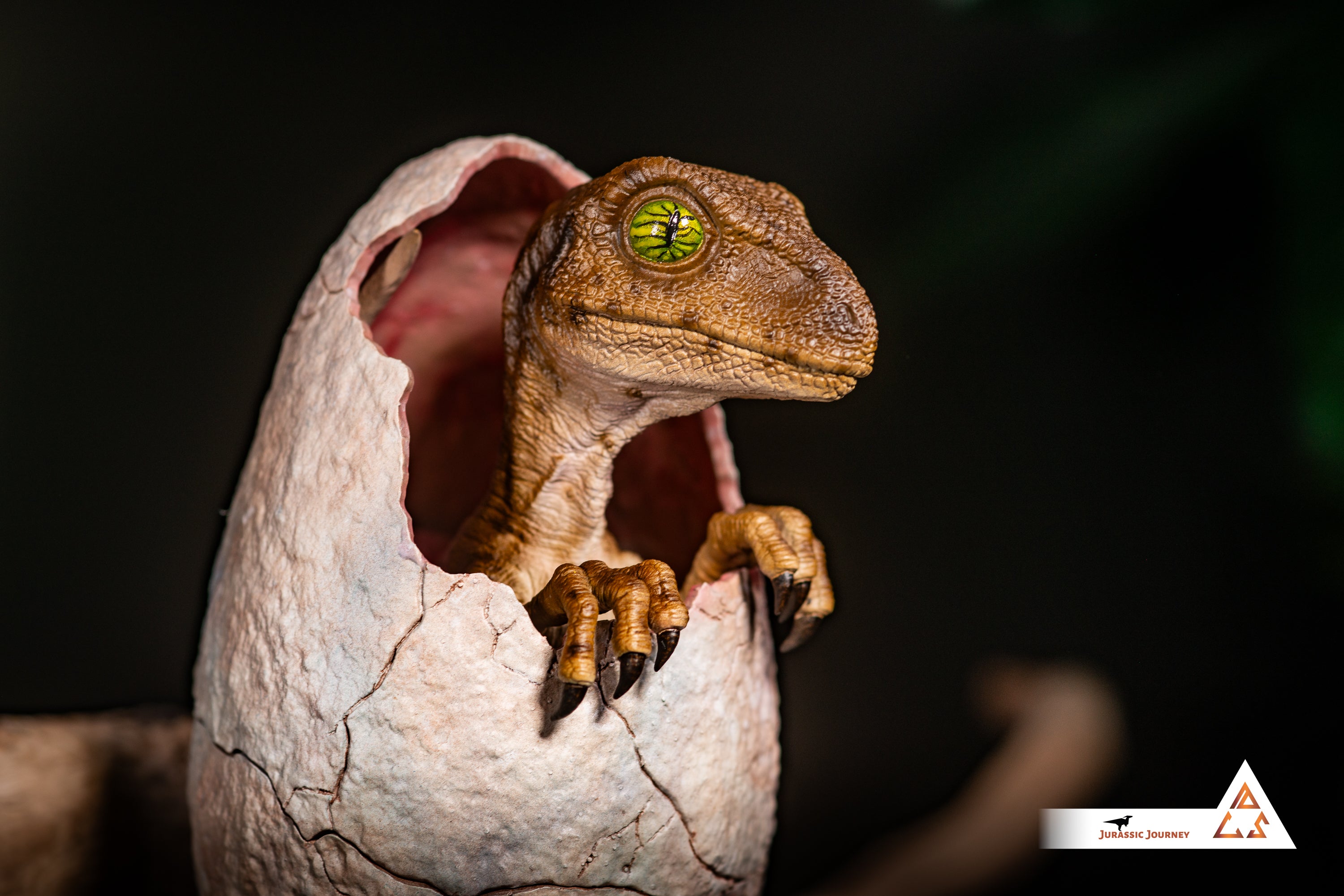 Hatching Velociraptor Baby | Hunter Edition | 1:1 scale collectible figure