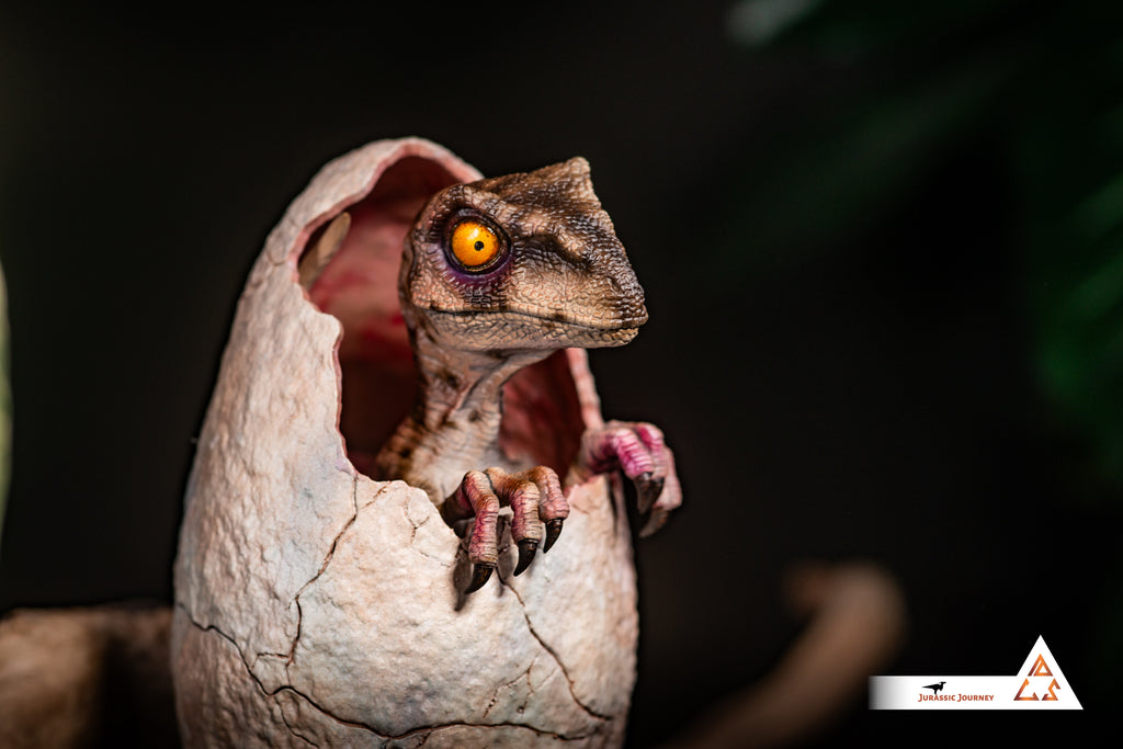 Hatching Velociraptor Baby | White Queen Edition | 1:1 scale collectible figure