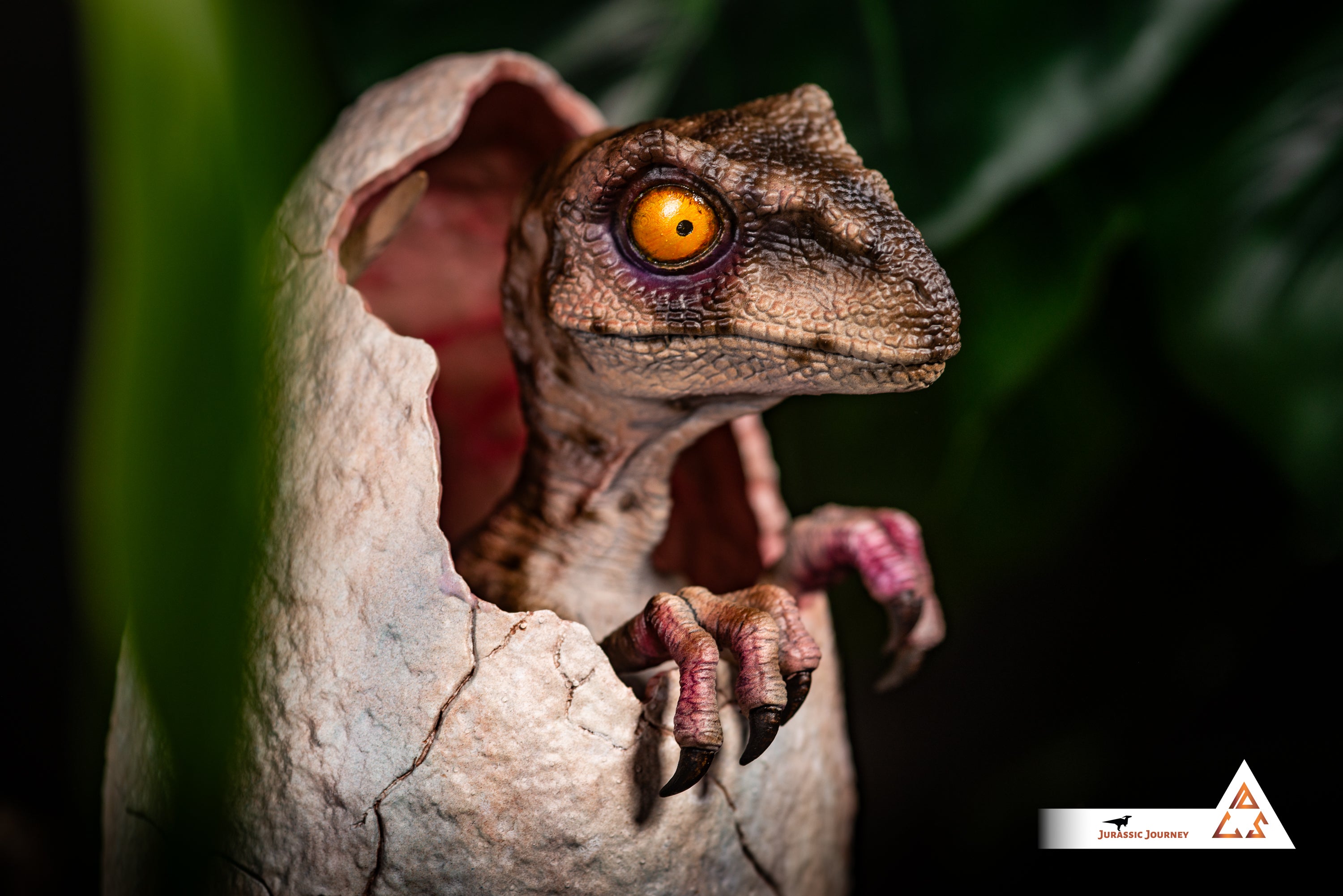 Hatching Velociraptor Baby | White Queen Edition | 1:1 scale collectible figure