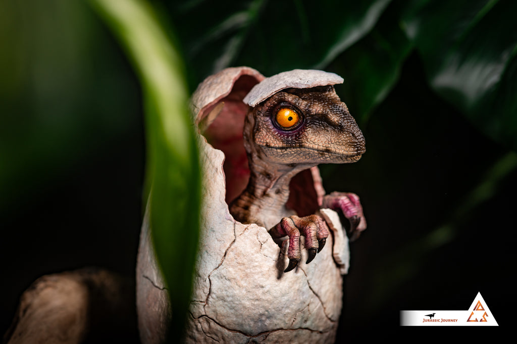 Hatching Velociraptor Baby | White Queen Edition | 1:1 scale collectible figure