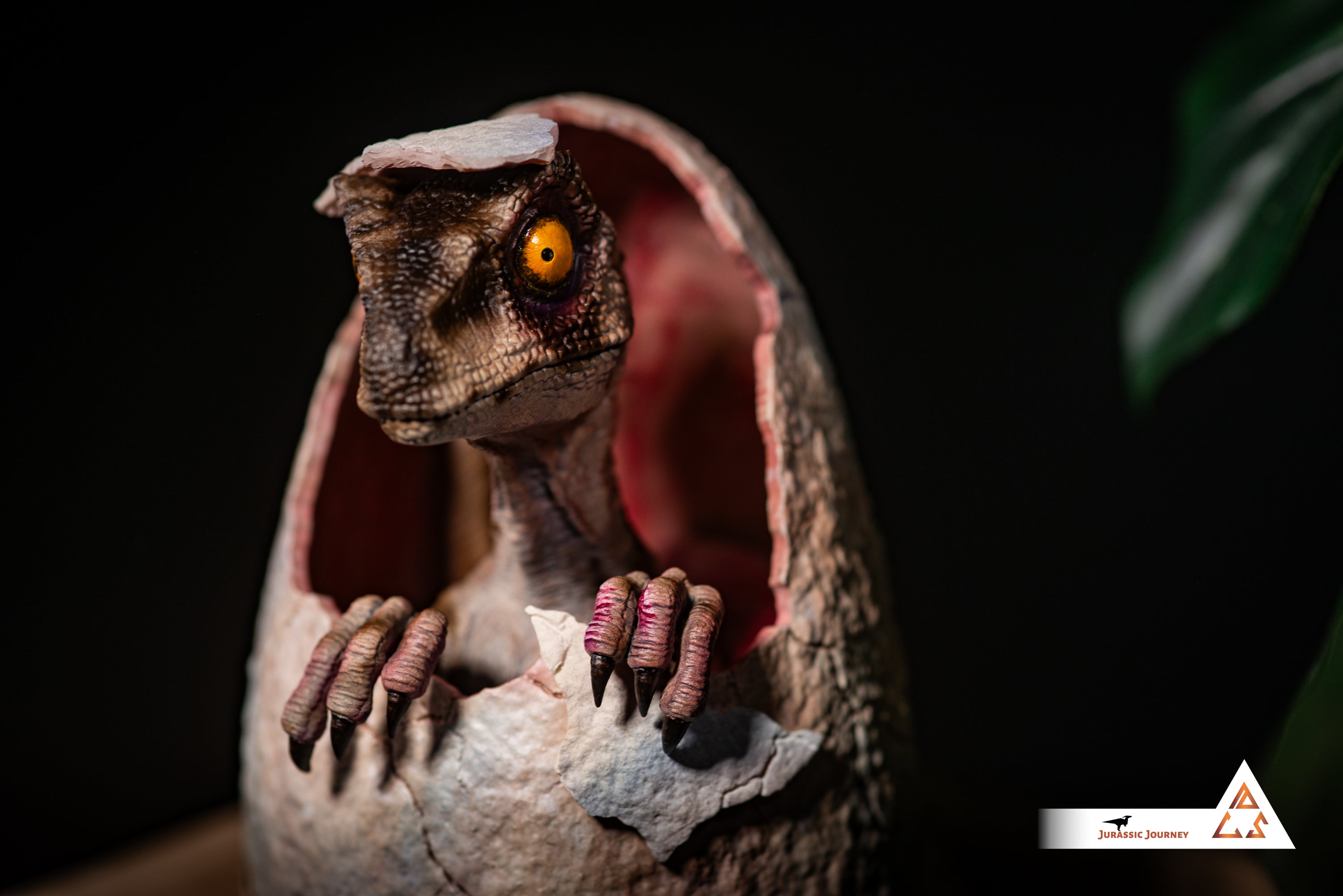 Hatching Velociraptor Baby | White Queen Edition | 1:1 scale collectible figure