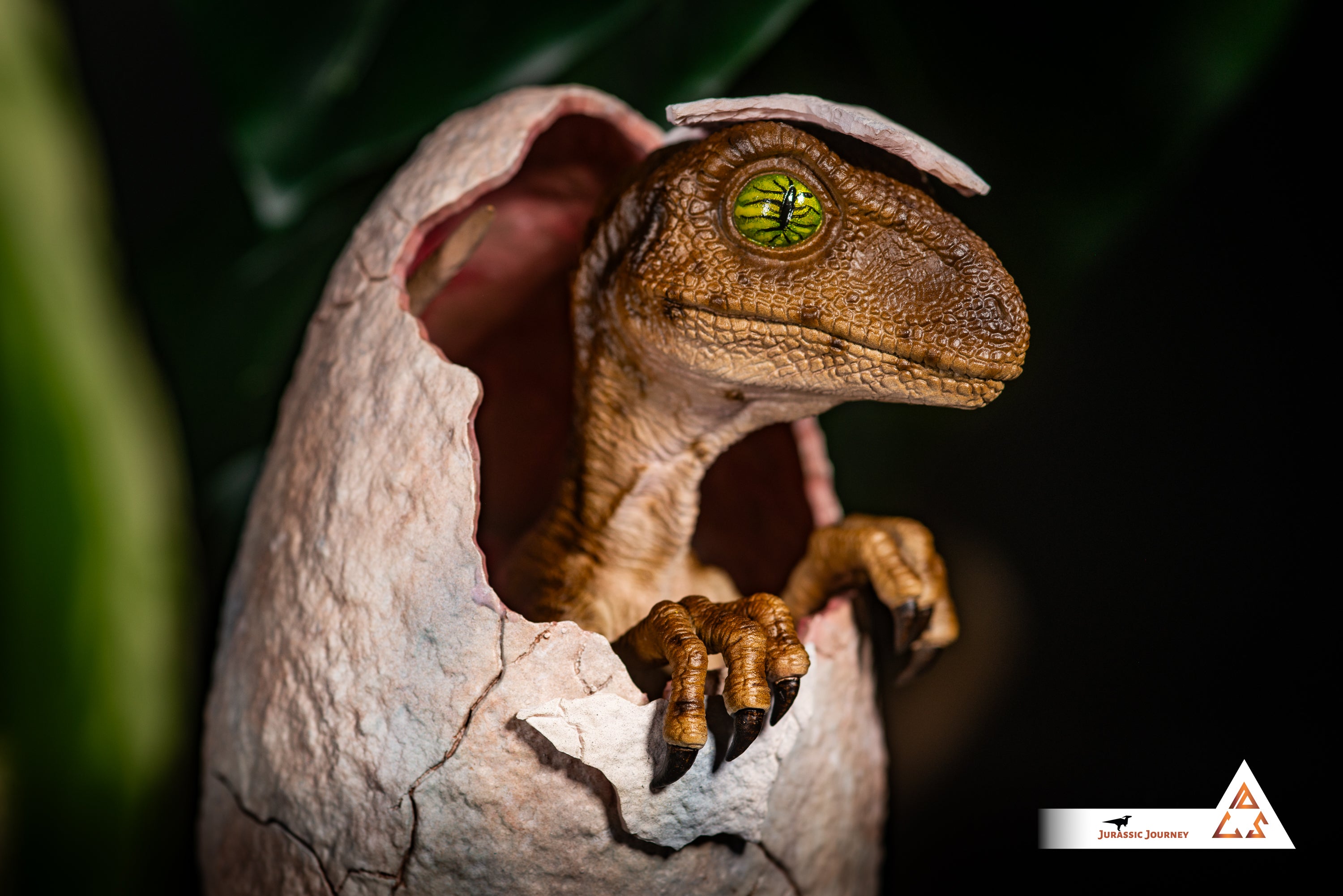 Hatching Velociraptor Baby | Hunter Edition | 1:1 scale collectible figure