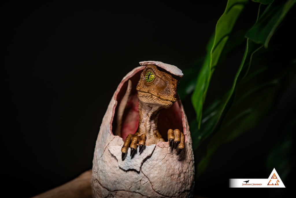 Hatching Velociraptor Baby | Hunter Edition | 1:1 scale collectible figure