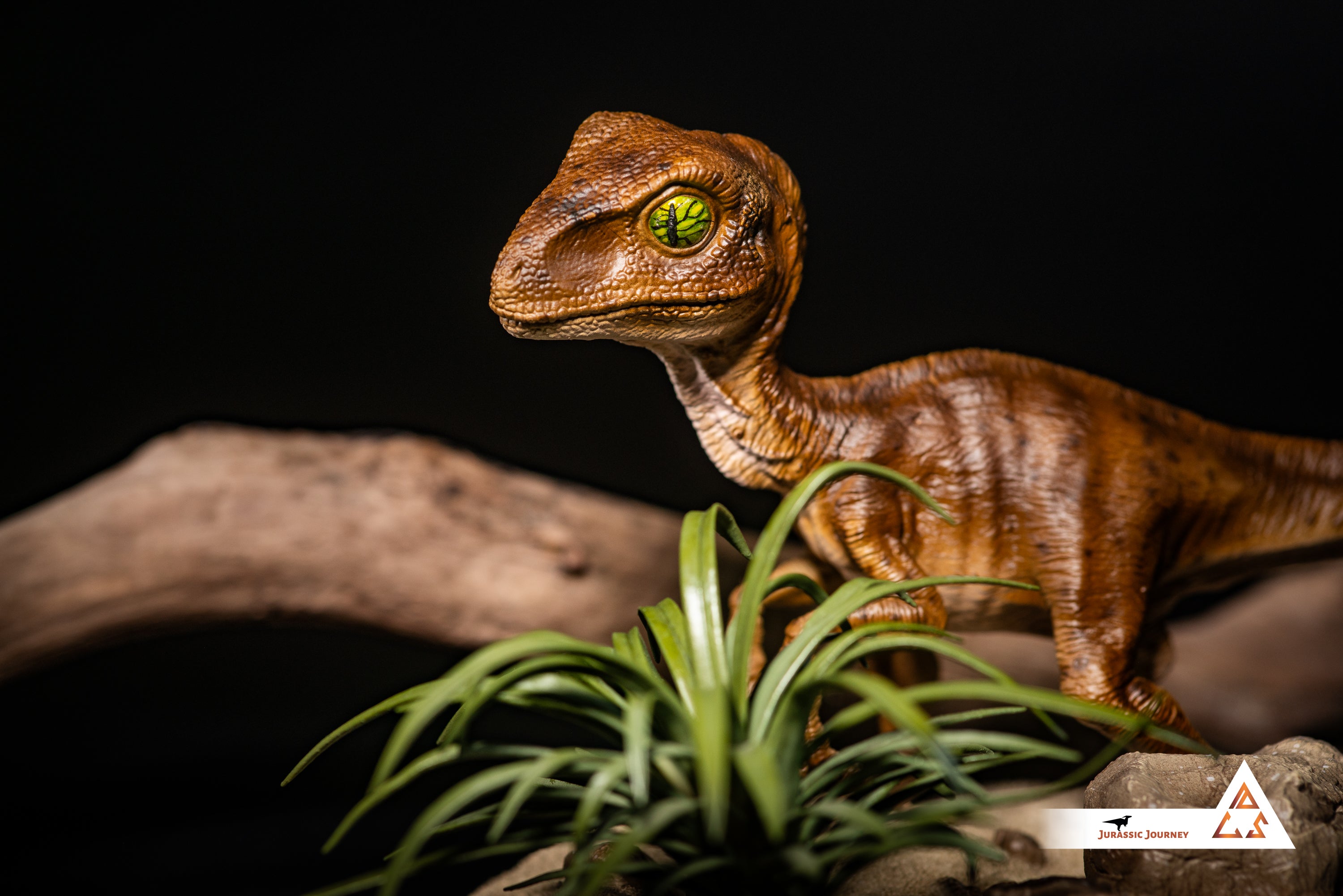 Velociraptor Baby with Sand Base | Hunter Edition | 1:1 scale collectible figure