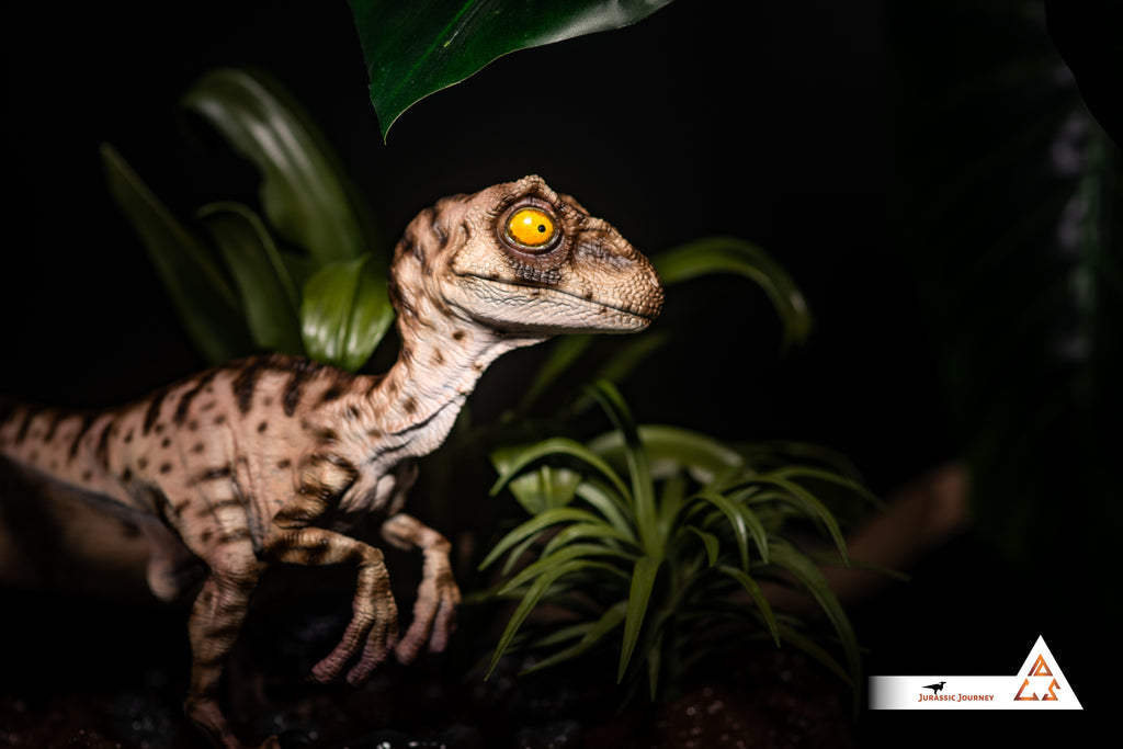 Velociraptor Baby with Mud Base | White Queen Edition | 1:1 scale collectible figure