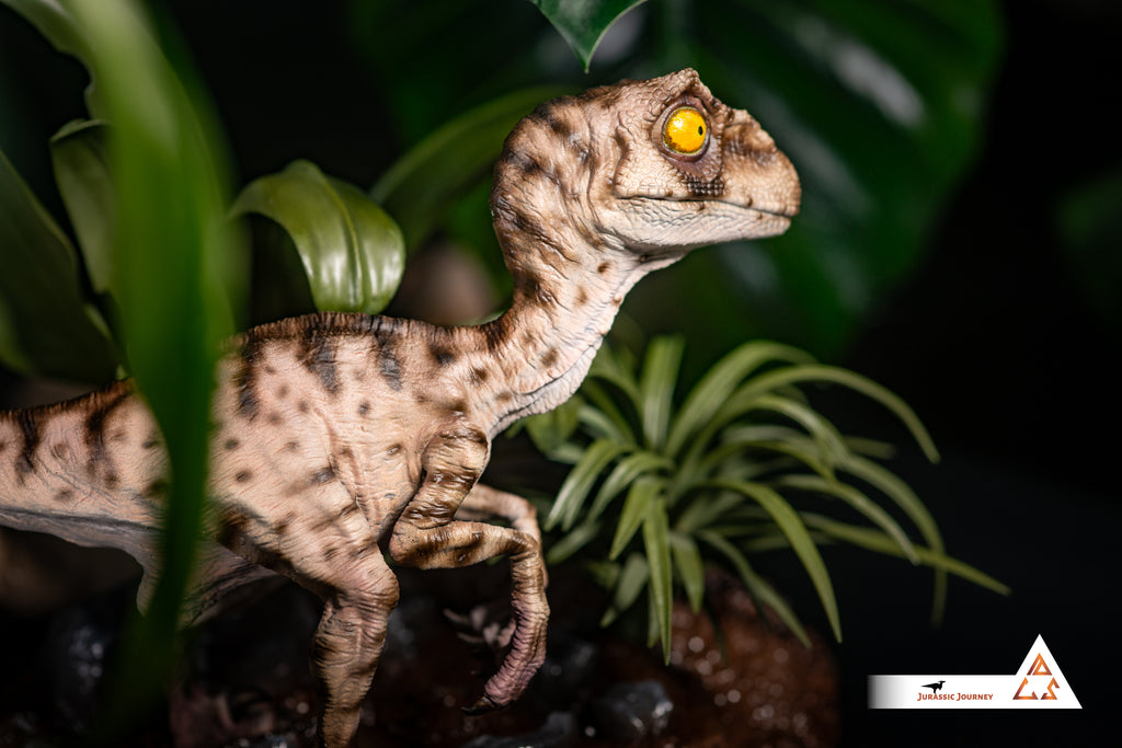 Velociraptor Baby with Mud Base | White Queen Edition | 1:1 scale collectible figure
