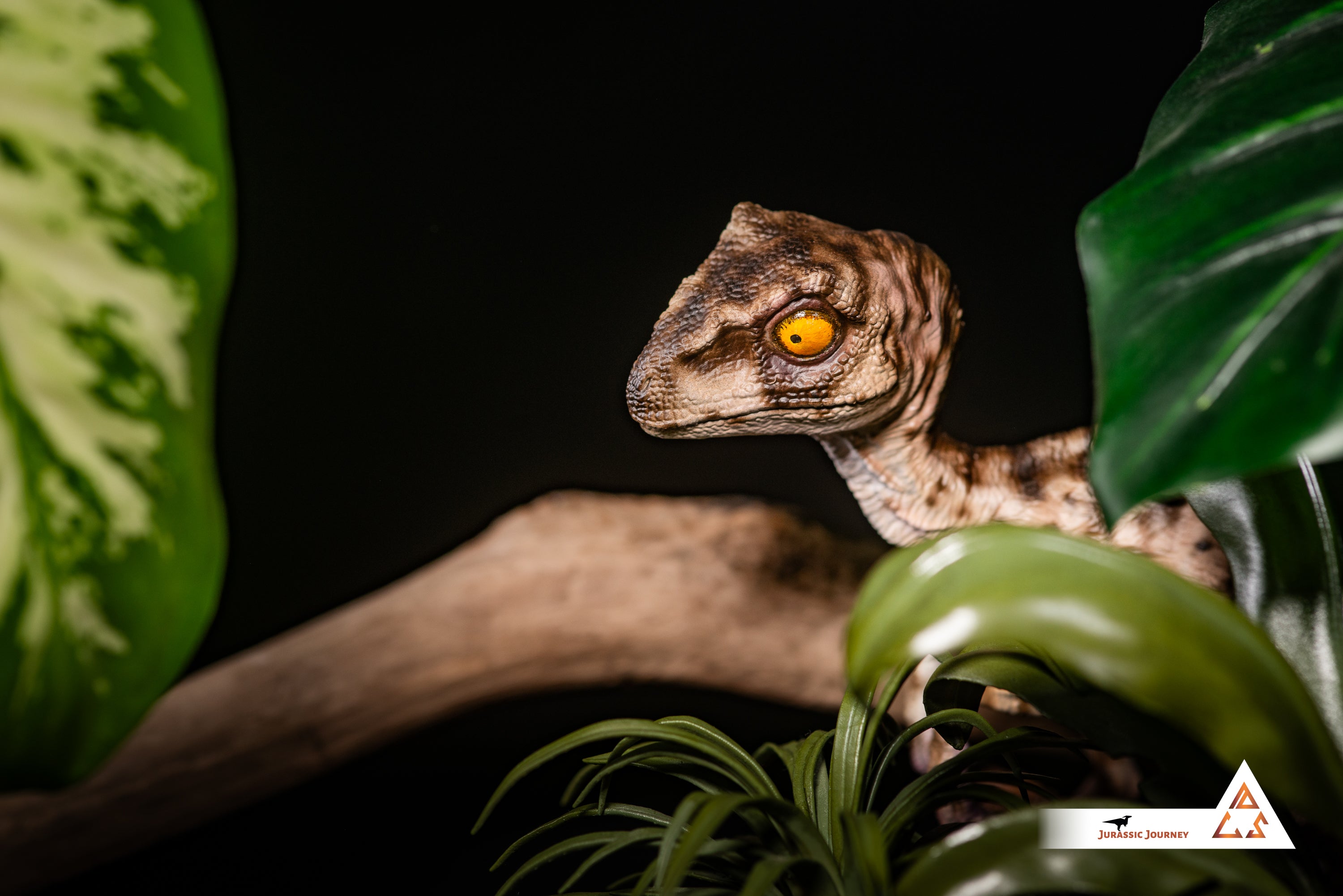 Velociraptor Baby with Mud Base | White Queen Edition | 1:1 scale collectible figure