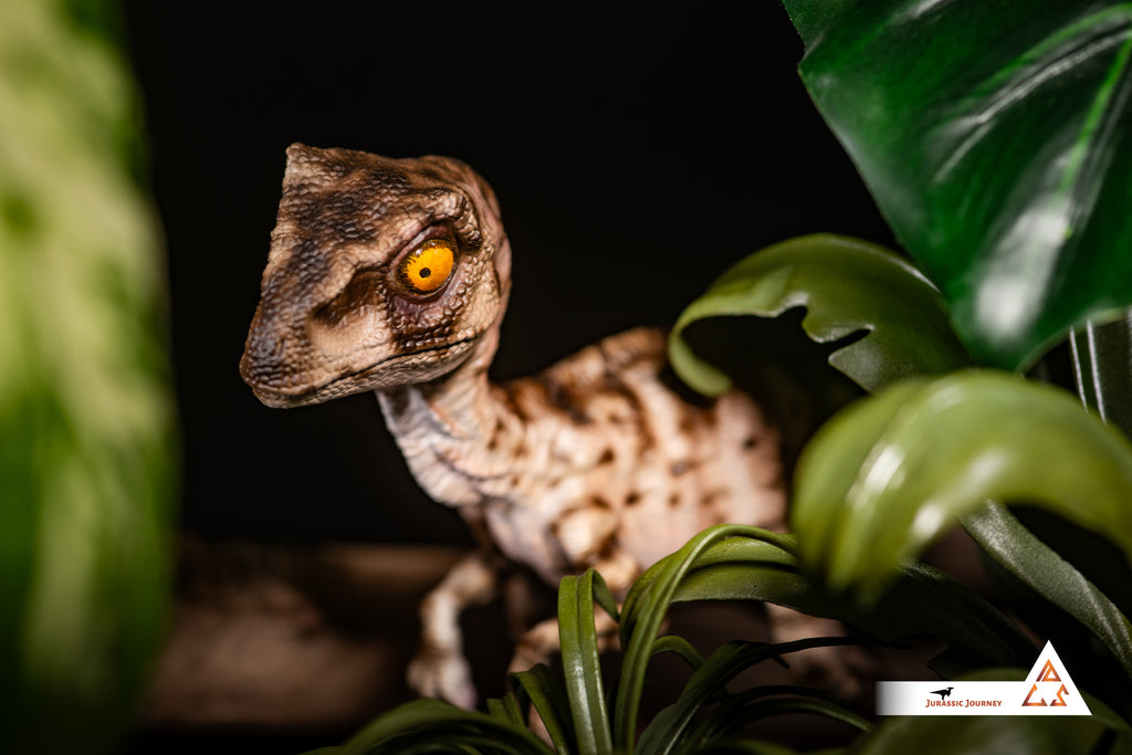 Velociraptor Baby with Mud Base | White Queen Edition | 1:1 scale collectible figure